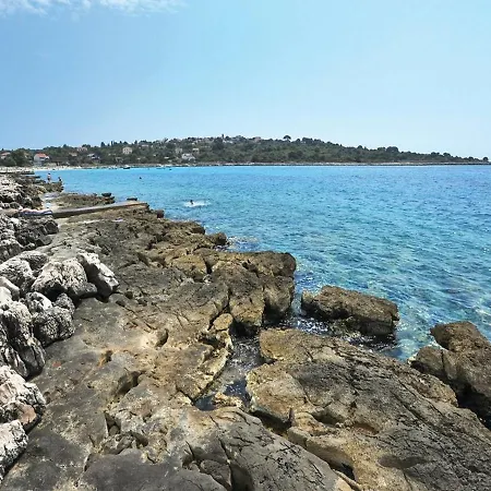 Pinia