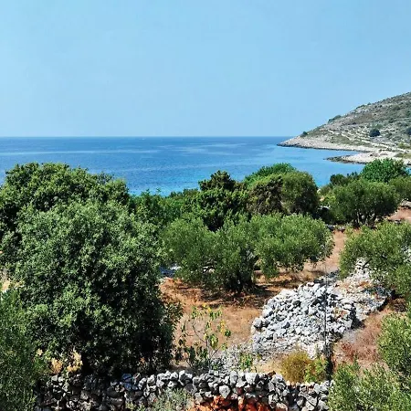 Pinia Drvenik Mali